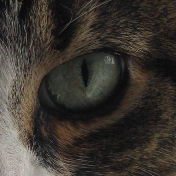 Meet your Posher - Picture 1 of 1